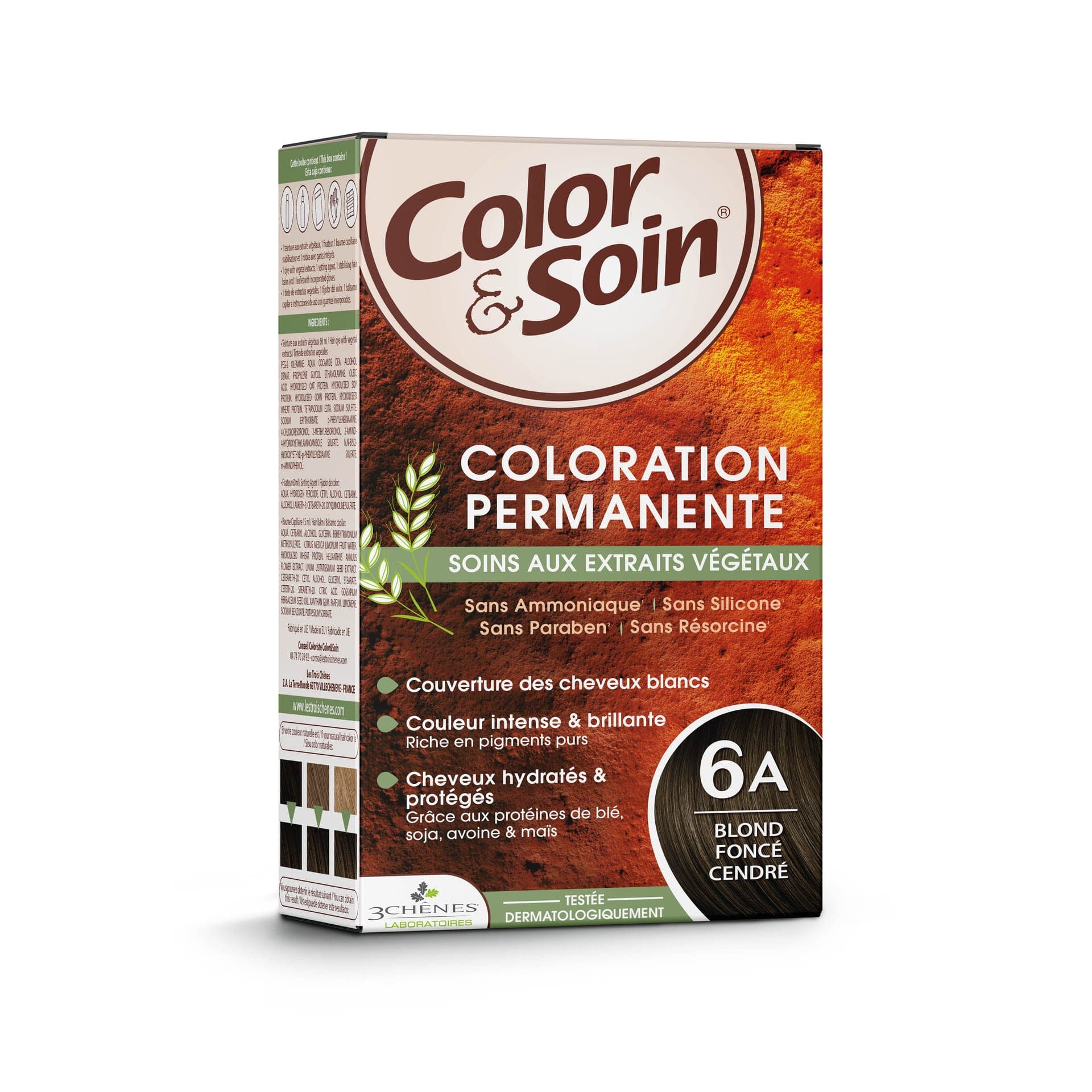 Color&Soin 6A Blond Foncé Cendré